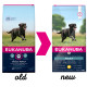 Eukanuba Active Adult Large Breed kip hondenvoer