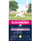 Eukanuba Puppy Small Breed Kylling hundefoder