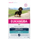 Eukanuba Adult Dachshund (gravhund) hundefoder