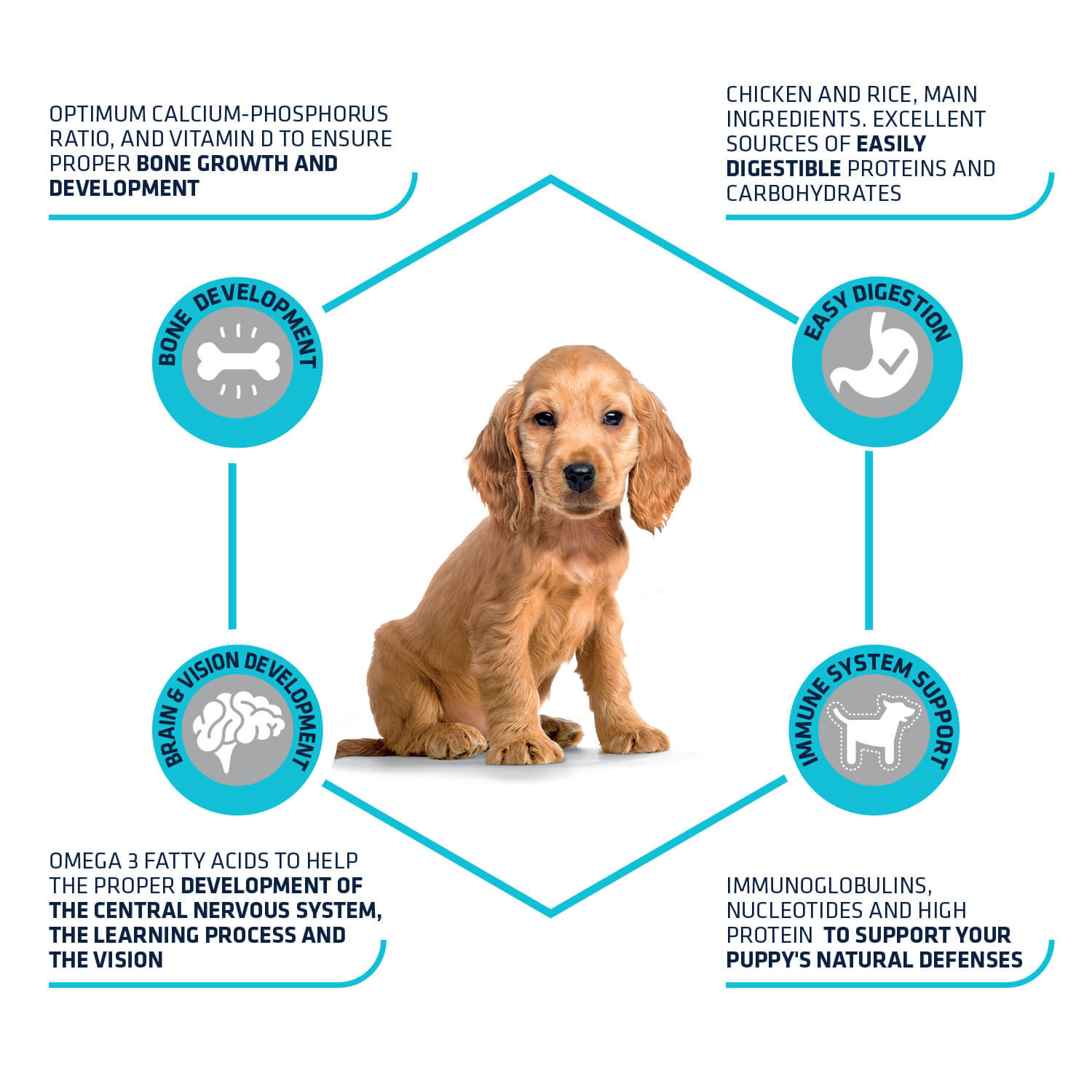 Advance Puppy Protect Medium hondenvoer