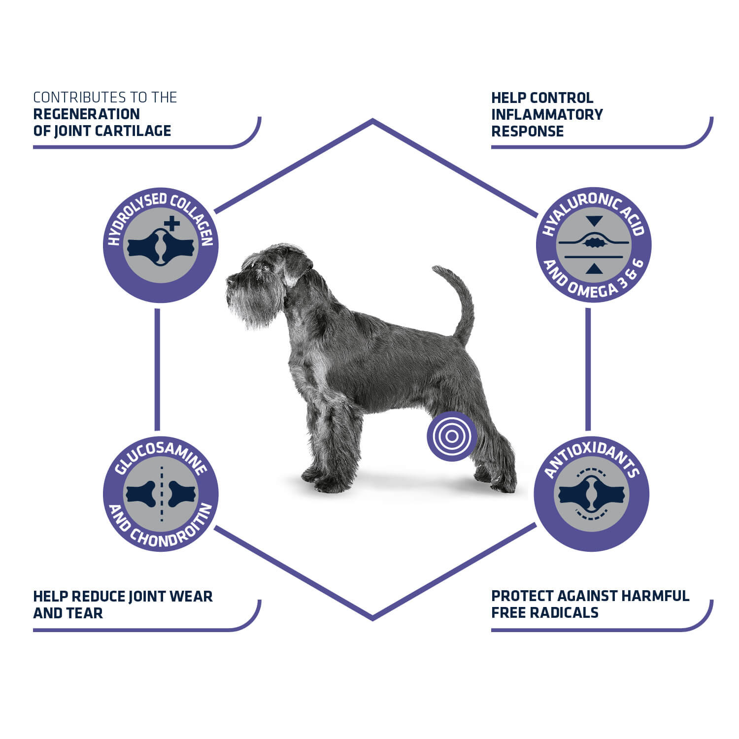 Advance Veterinary Articular Care hondenvoer