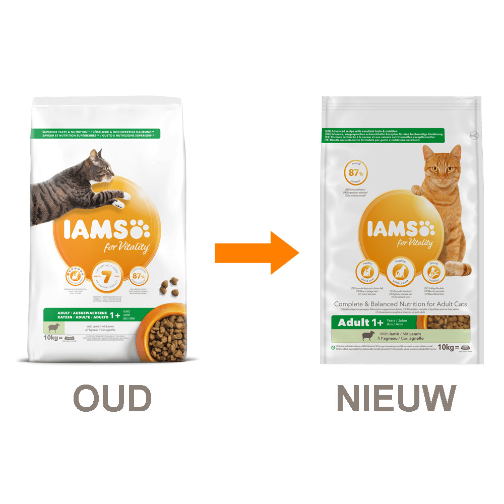 iams cat 10kg