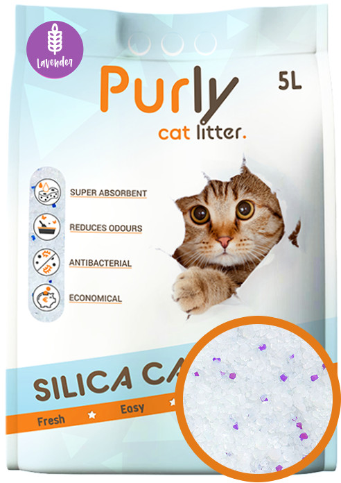 Purly silica kattegrus Lavender