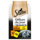 Sheba Délices du Jour med kylling/kalkun i gelé vådfoder til katte (poser 50g)