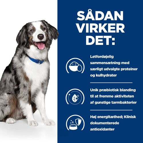 Hill's Prescription I/D (i/d) Sensitive Digestive Care æg ris hundefoder