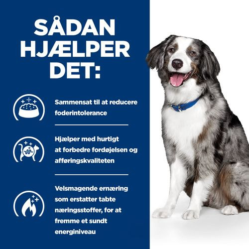 Understrege Sømil kompensation Hills Prescription Diet I/D sensitive hundefoder billigt