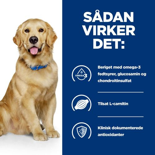 Prescription Diet J/D Hundefoder