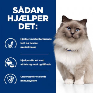Hill‘s Prescription Diet R/D Weight Reduction kattefoder