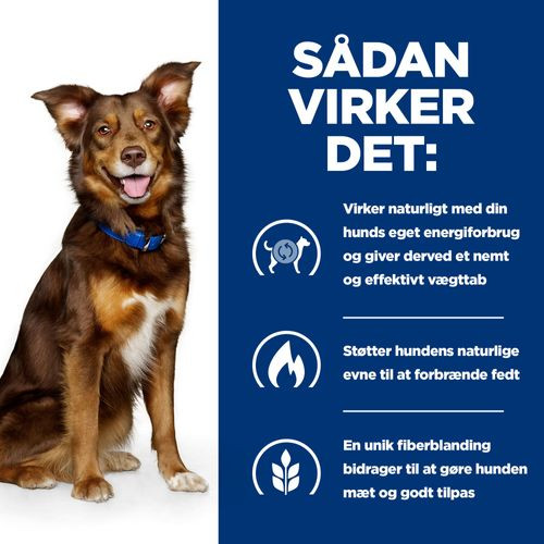 Hill's Prescription Diet Metabolic Weight Management hundefoder med lam og ris