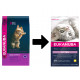 Eukanuba Kitten kylling kattefoder