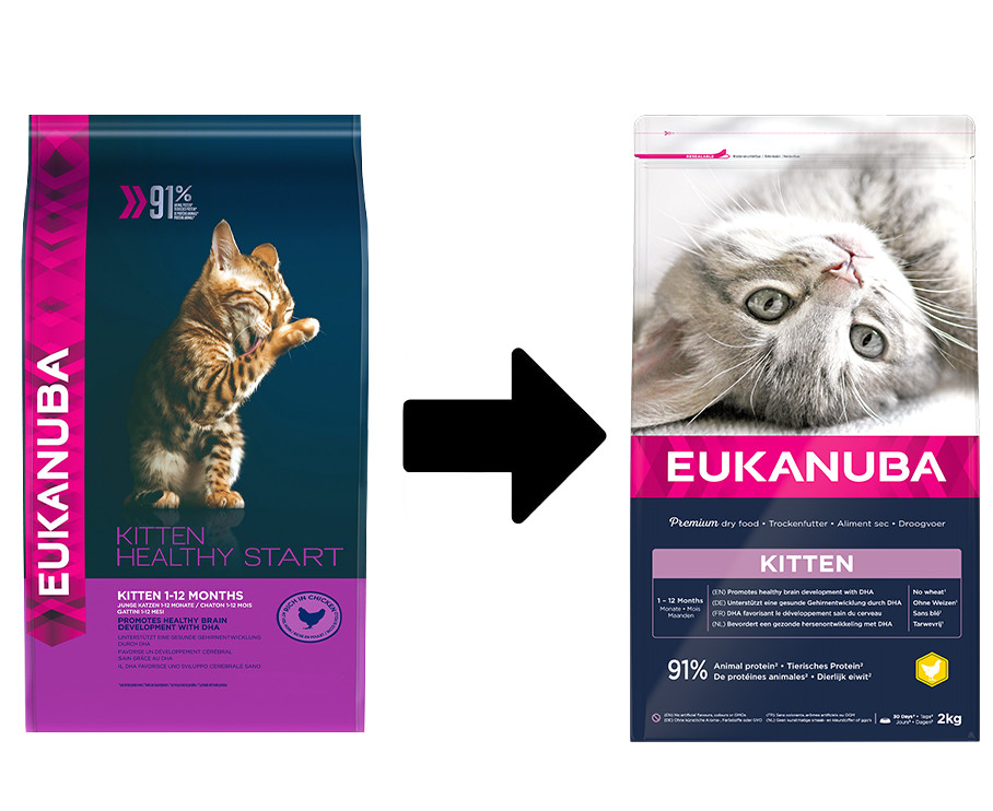 Eukanuba Kitten kylling kattefoder