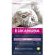 Eukanuba Kitten kylling kattefoder