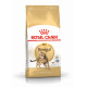Royal Canin Adult Bengal kattefoder