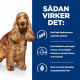 Hills Prescription Diet Z/D Food Sensitivities hundefoder