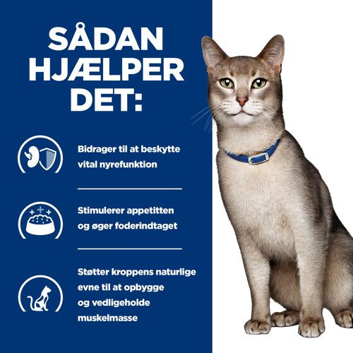 Hill's Prescription Diet K/D Kidney Care kattefoder med tun