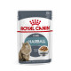 Royal Canin Pouch Hairball Care kattenvoer