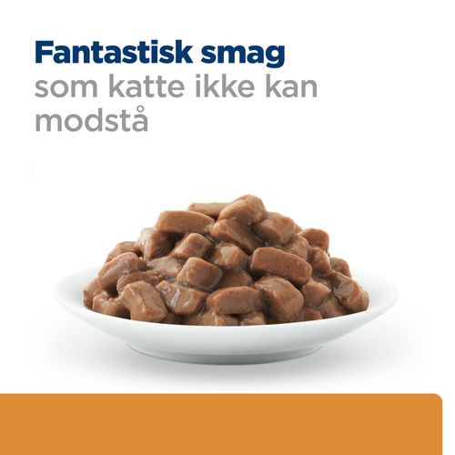 Hill's Prescription Diet K/D Kidney Care vådfoder til katte med oksekød (portionsposer)