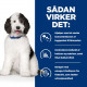 Hill's Prescription C/D Multi Urinary Care ragout dåse hundefoder 354g