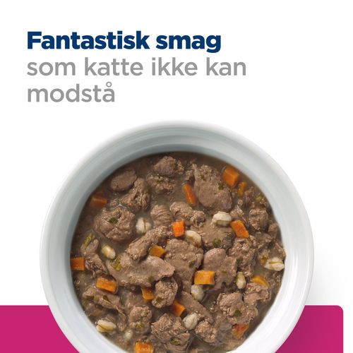 Hill's Prescription Diet Gastrointestinal Biome Stew vådfoder til katte med kylling & grøntsager dåse)