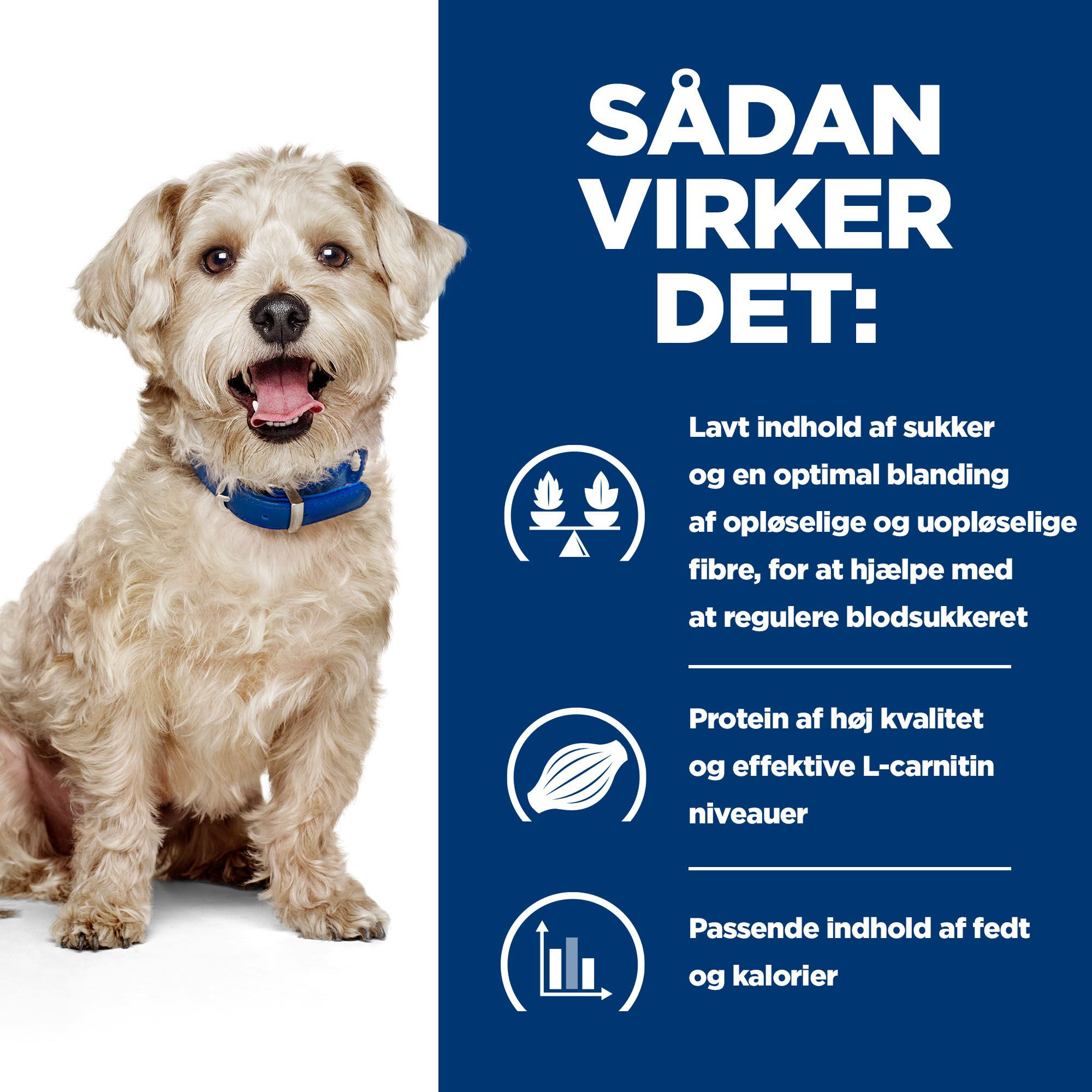 Hill's Prescription Diet W/D Diabetes Care vådfoder til hunde med kylling (dåse)