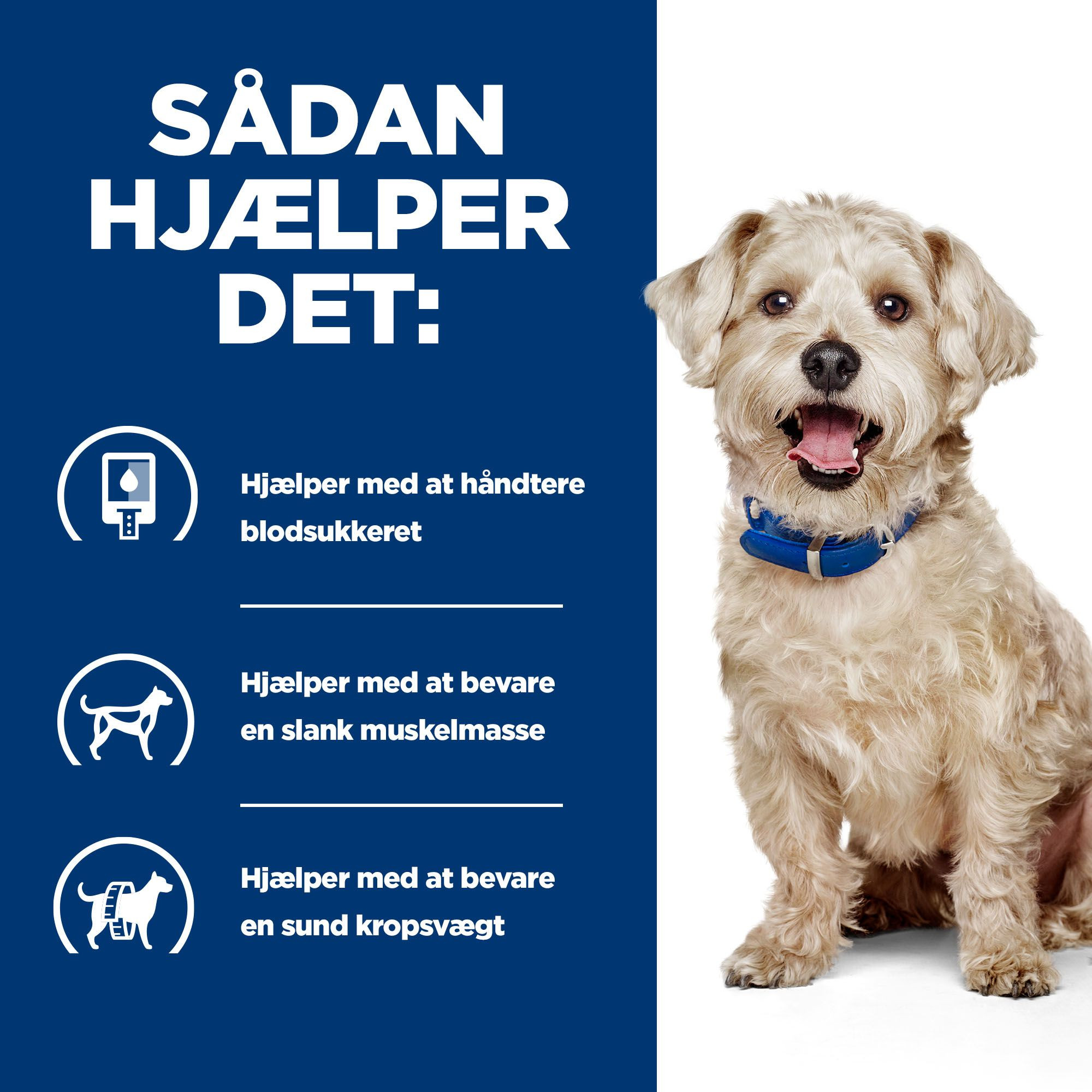 Hill's Prescription Diet W/D Diabetes Care vådfoder til hunde med kylling (dåse)