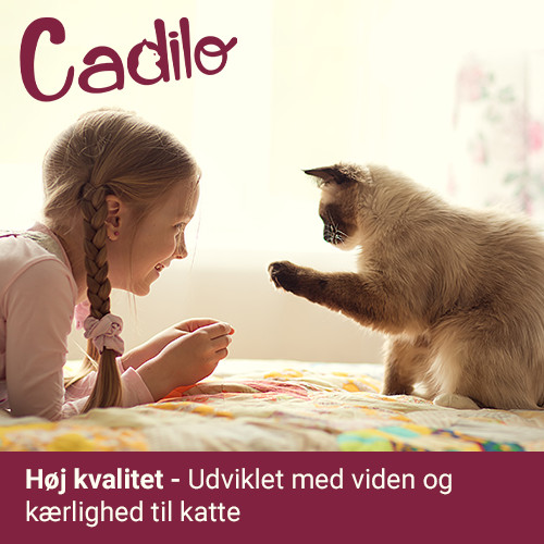 Cadilo Senior kattenvoer