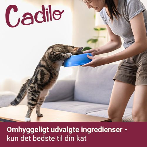 Cadilo Sterilized Light kattenvoer