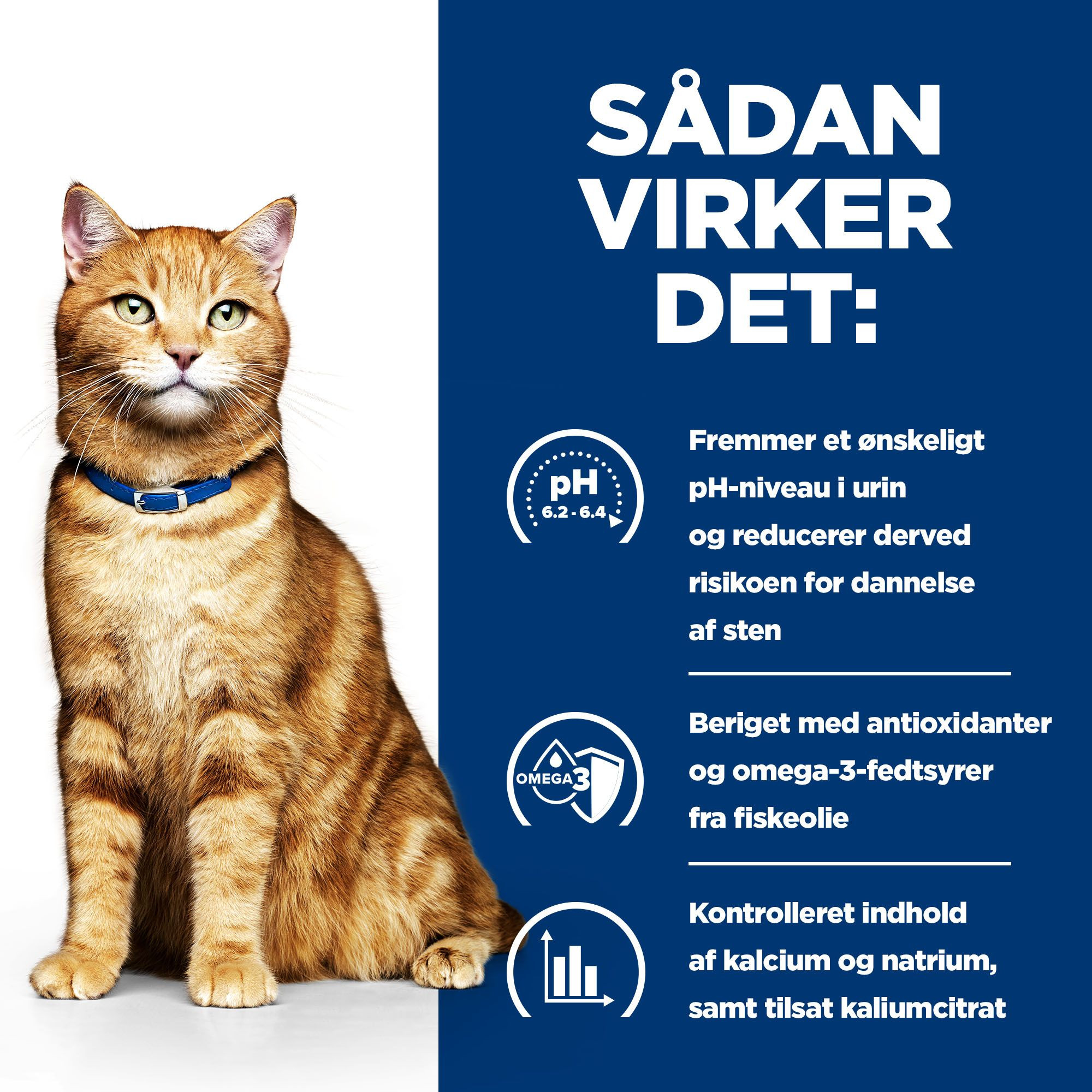 Hill's Prescription Diet C/D Multicare Urinary Care vådfoder til katte med laks (portionsposer)