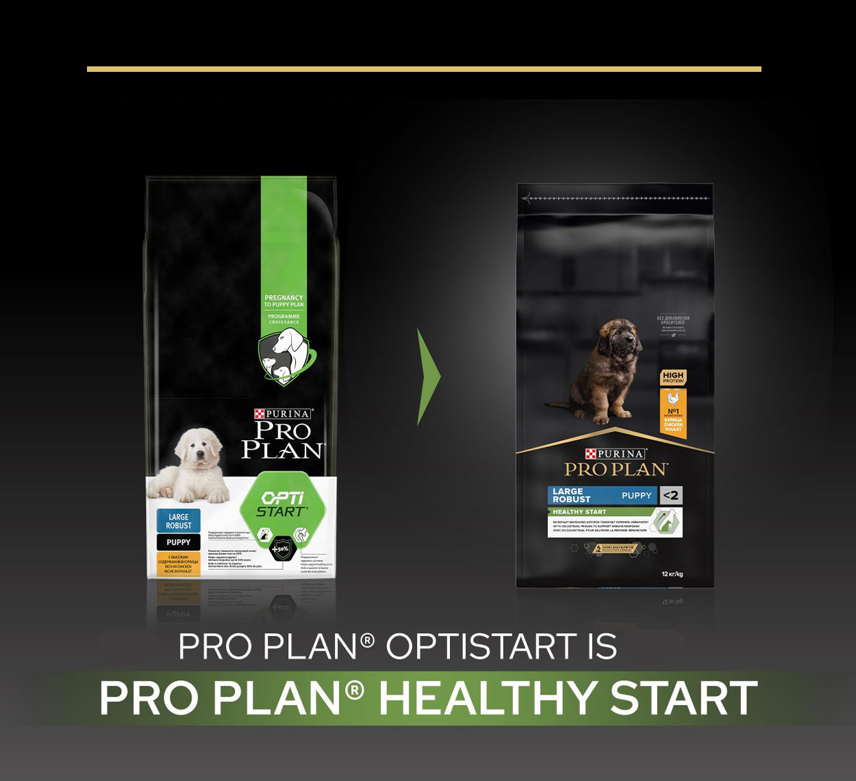 Pro Plan Large Robust Puppy Healthy Start med kylling hundefoder