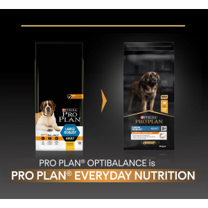 Pro Plan Large Robust Adult Everyday Nutrition med kylling hundefoder