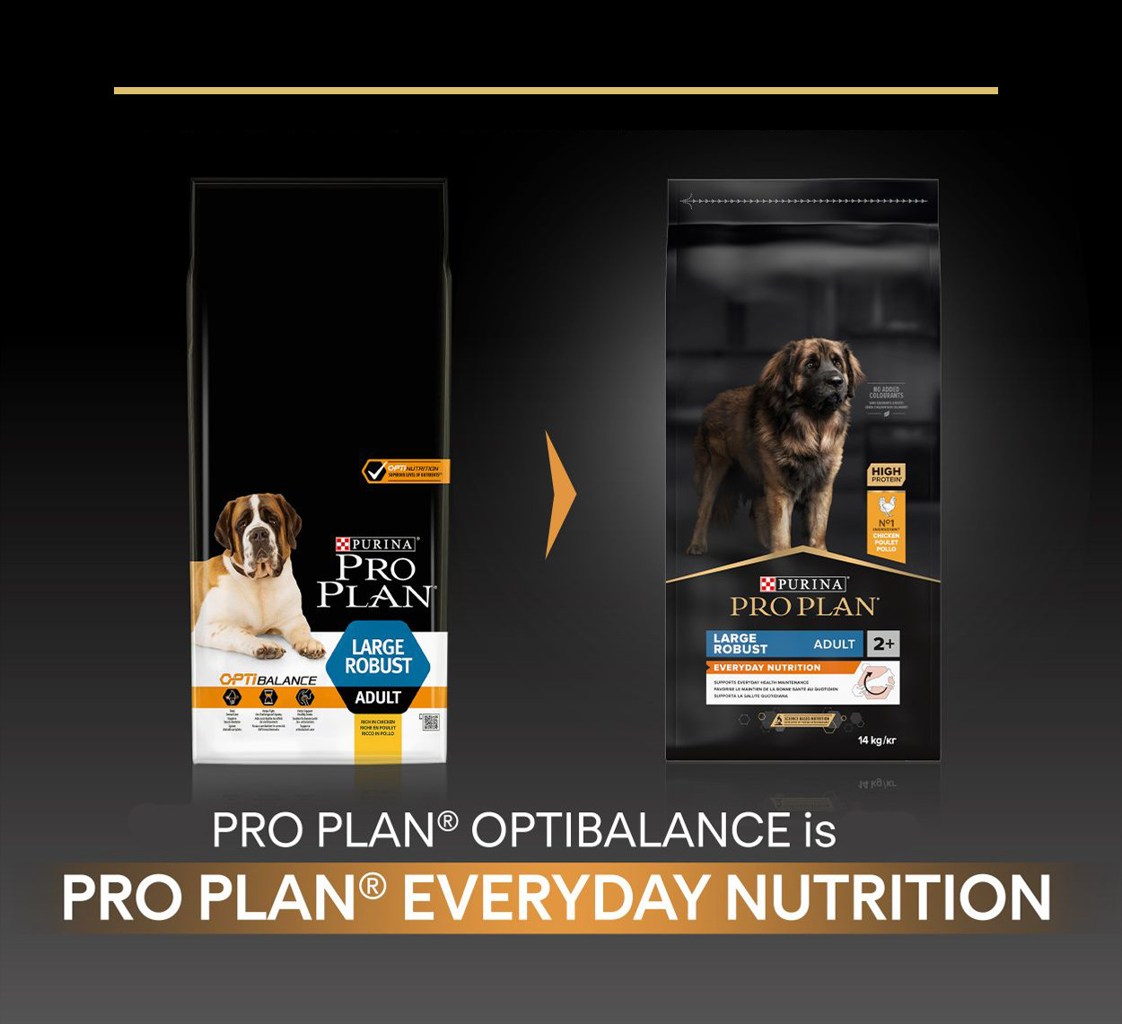 Pro Plan Large Robust Adult Everyday Nutrition med kylling hundefoder