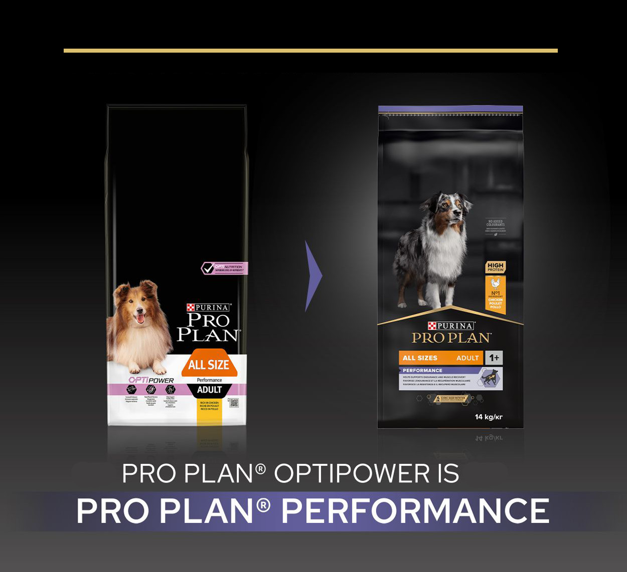 Pro Plan All Size Adult Performance Optipower hundefoder