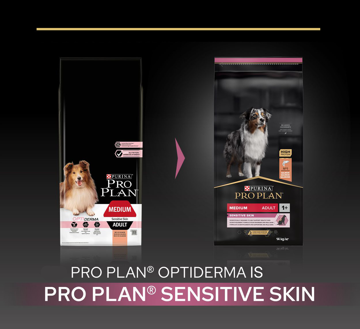 Pro Plan Medium Adult Sensitive Skin med laks og ris hundefoder