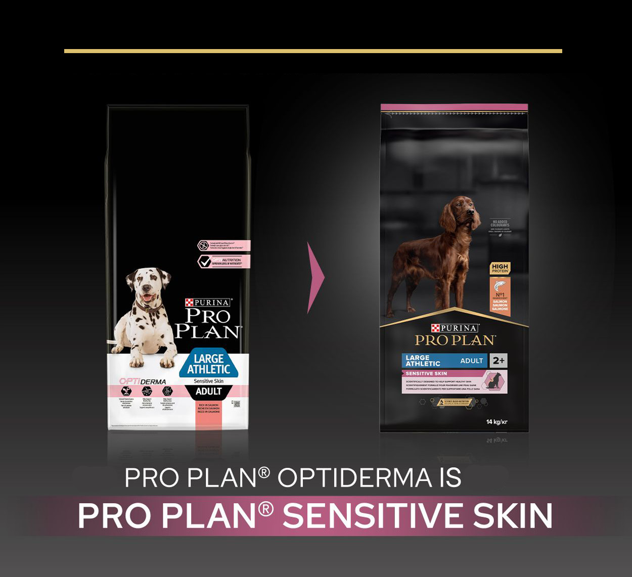 Pro Plan Large Athletic Adult Sensitive Skin med laks hundefoder