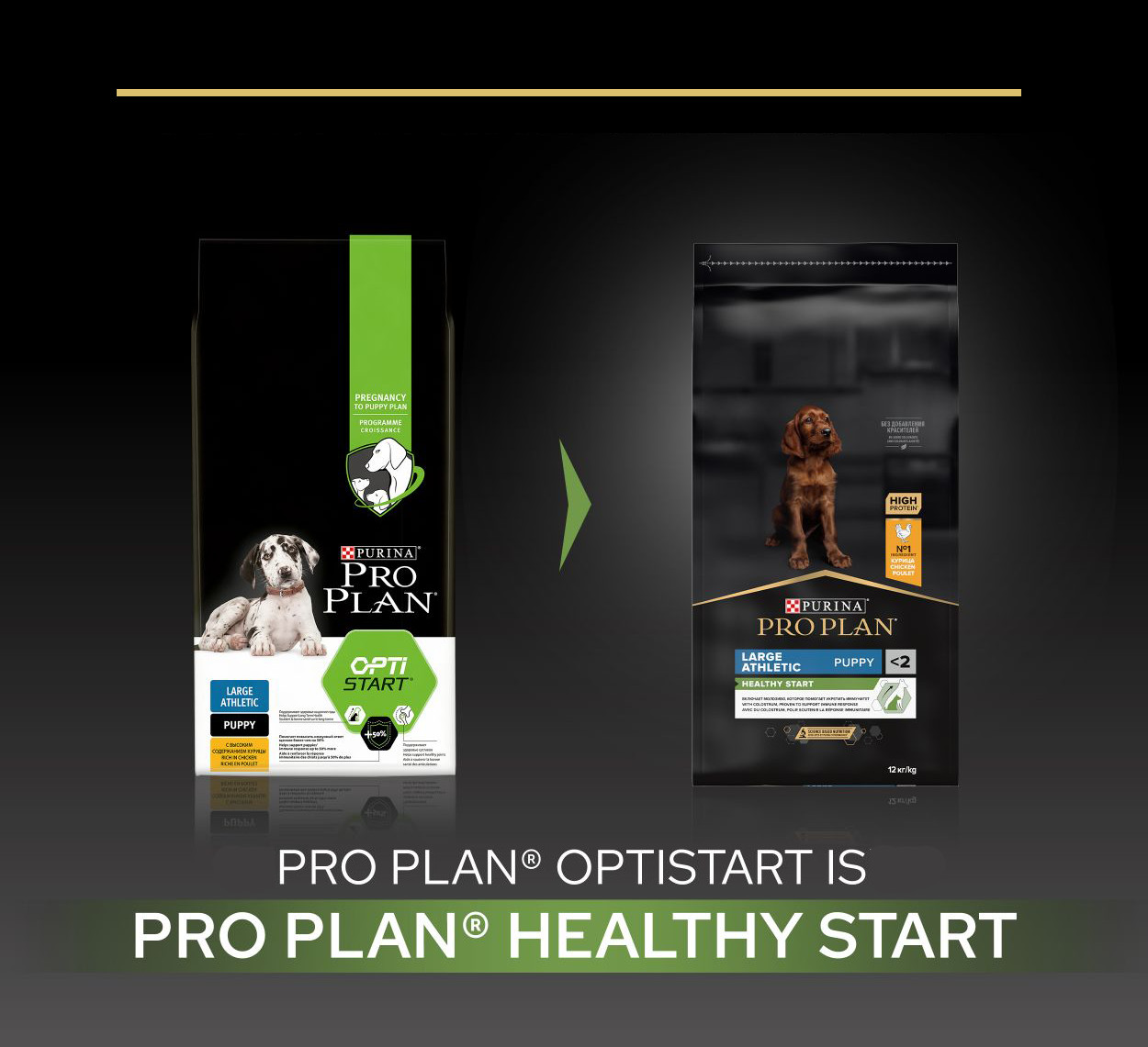 Pro Plan Large Athletic Puppy Healthy Start med kylling hundefoder