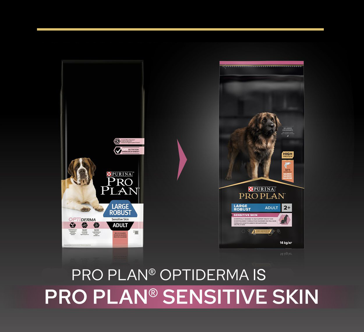 Pro Plan Large Robust Adult Sensitive Skin med laks hundefoder