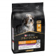 Pro Plan Medium & Large Adult 7+ Age Defence med kylling hundefoder