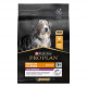 Pro Plan Medium & Large Adult 7+ Age Defence med kylling hundefoder