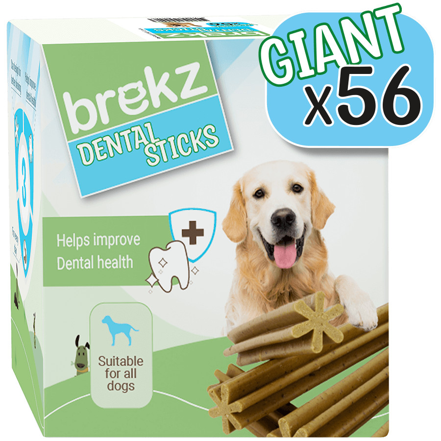 Se insekter samvittighed Bøde Brekz Dental Sticks Giant hundesnack | God værdi for pengene