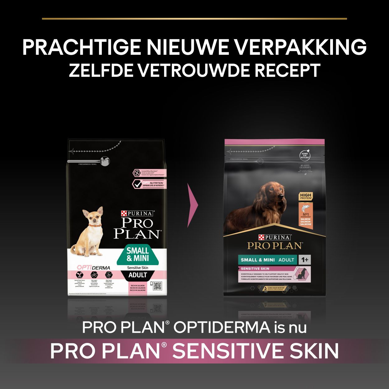 Pro Plan Small & Mini Adult Sensitive Skin med laks hundefoder