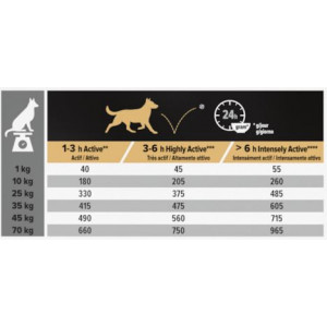 Pro Plan Adult Performance med kylling hundefoder