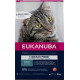 Eukanuba Adult med laks kornfrit kattefoder