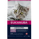 Eukanuba Kitten med laks kornfrit kattefoder