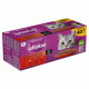 Whiskas 1+ Classic Selection i sauce multipack (40 x 85 g)