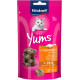 Vitakraft Cat Yums kylling med katteurt kattesnack (40g)