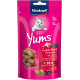 Vitakraft Cat Yums Superfood med hyldebær kattesnack (40g)