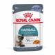 Royal Canin Hairball Care i gelé vådfoder til katte (85 g)