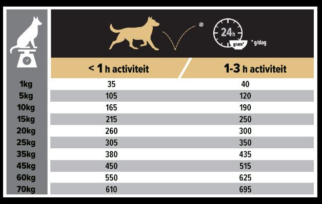 Pro Plan Medium Adult Sensitive Skin med laks og ris hundefoder
