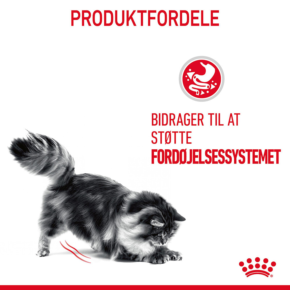 Royal Canin Digestive Care kattefoder