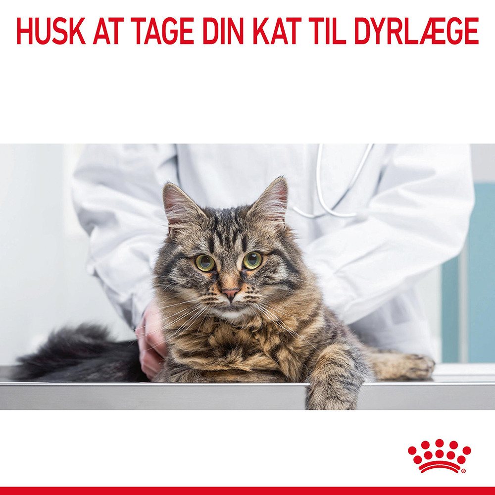 Royal Canin Digestive Care kattefoder